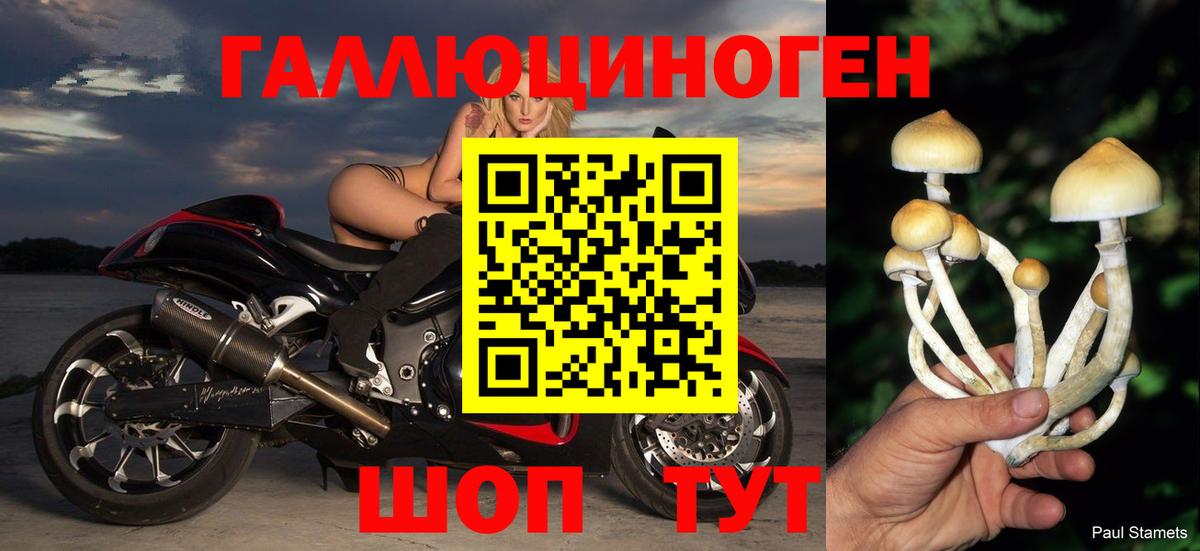 Псилоцибиновые грибы мухоморы Черногорск