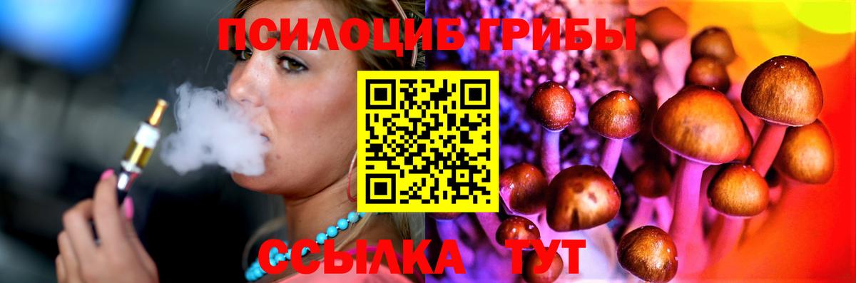 Псилоцибиновые грибы MAGIC MUSHROOMS  Вход с VPN  Черногорск 